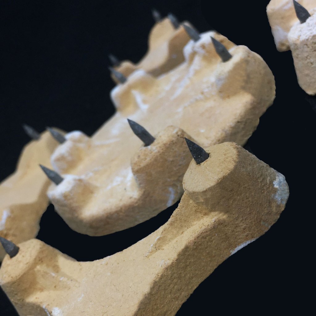 ME 0390 Sır Ayağı Tanışma Seti 5'li